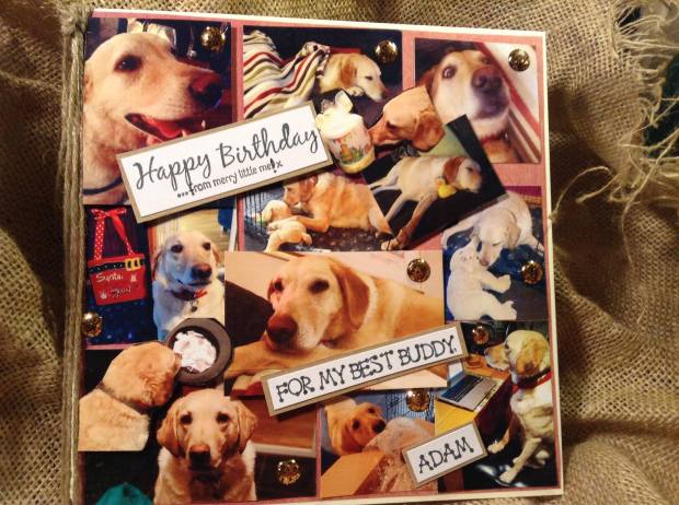 10644783_717862818297900_6170509597109044705_o